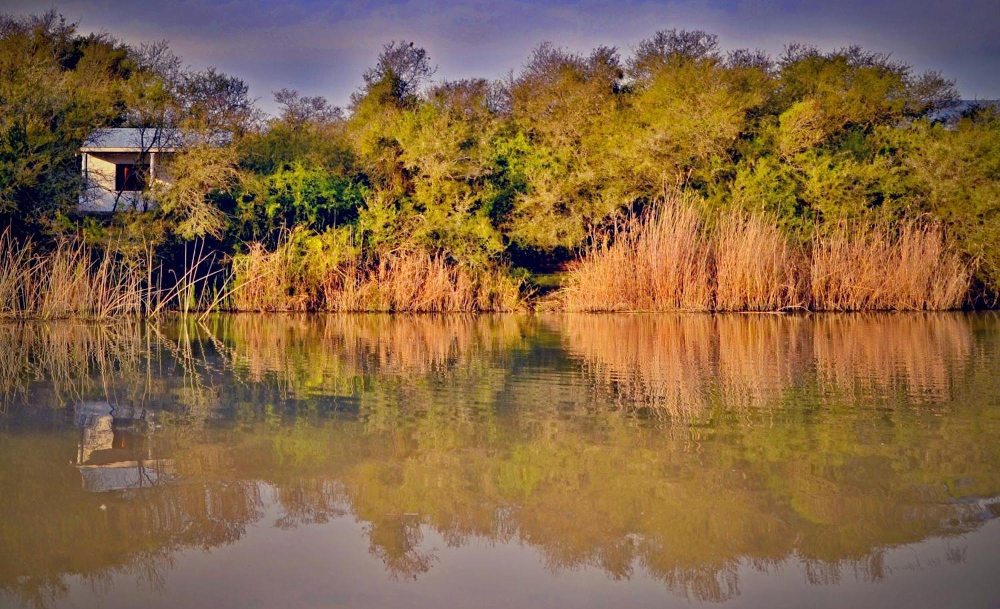 Umlambo River Lodge Kirkwood Ngoại thất bức ảnh