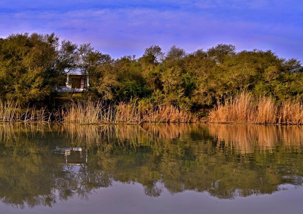 Umlambo River Lodge Kirkwood Ngoại thất bức ảnh