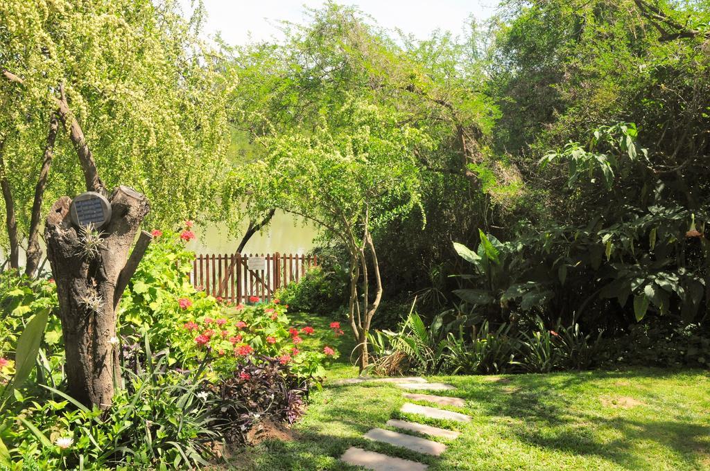 Umlambo River Lodge Kirkwood Ngoại thất bức ảnh