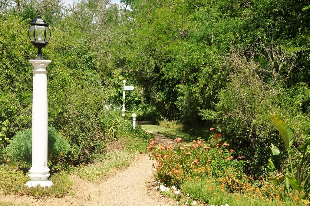 Umlambo River Lodge Kirkwood Ngoại thất bức ảnh