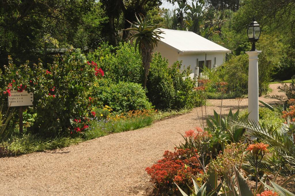 Umlambo River Lodge Kirkwood Ngoại thất bức ảnh