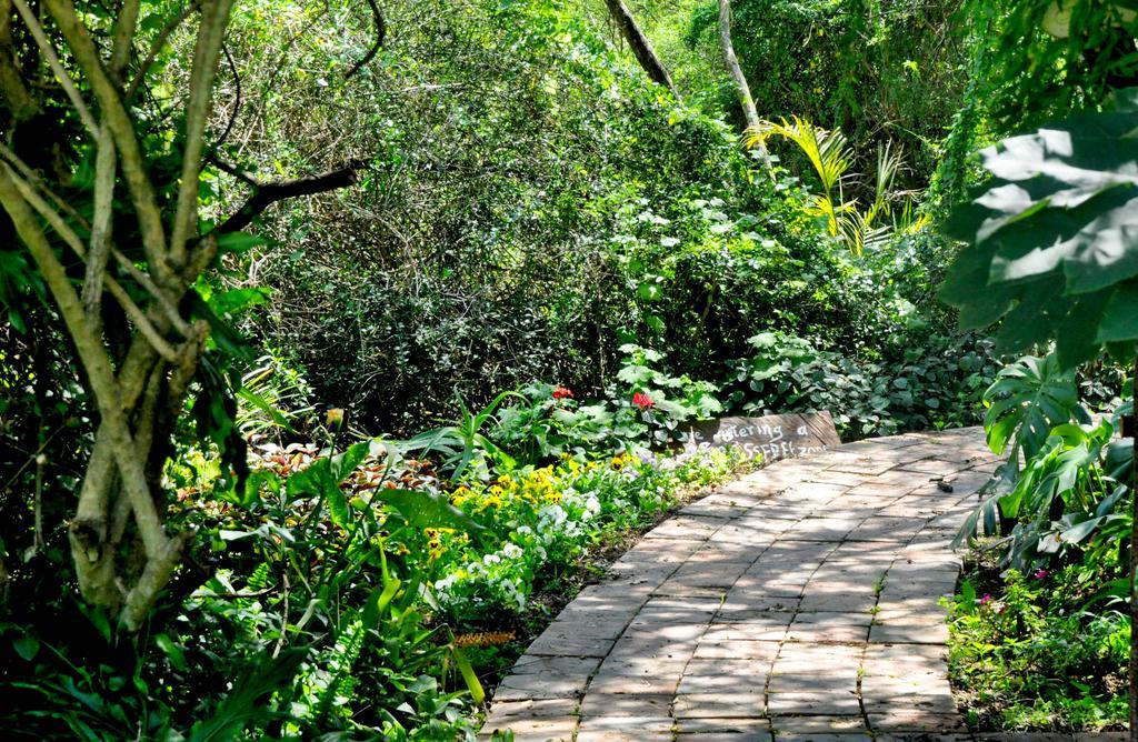 Umlambo River Lodge Kirkwood Ngoại thất bức ảnh