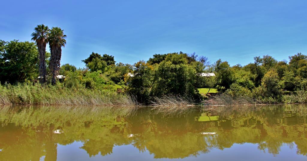Umlambo River Lodge Kirkwood Ngoại thất bức ảnh