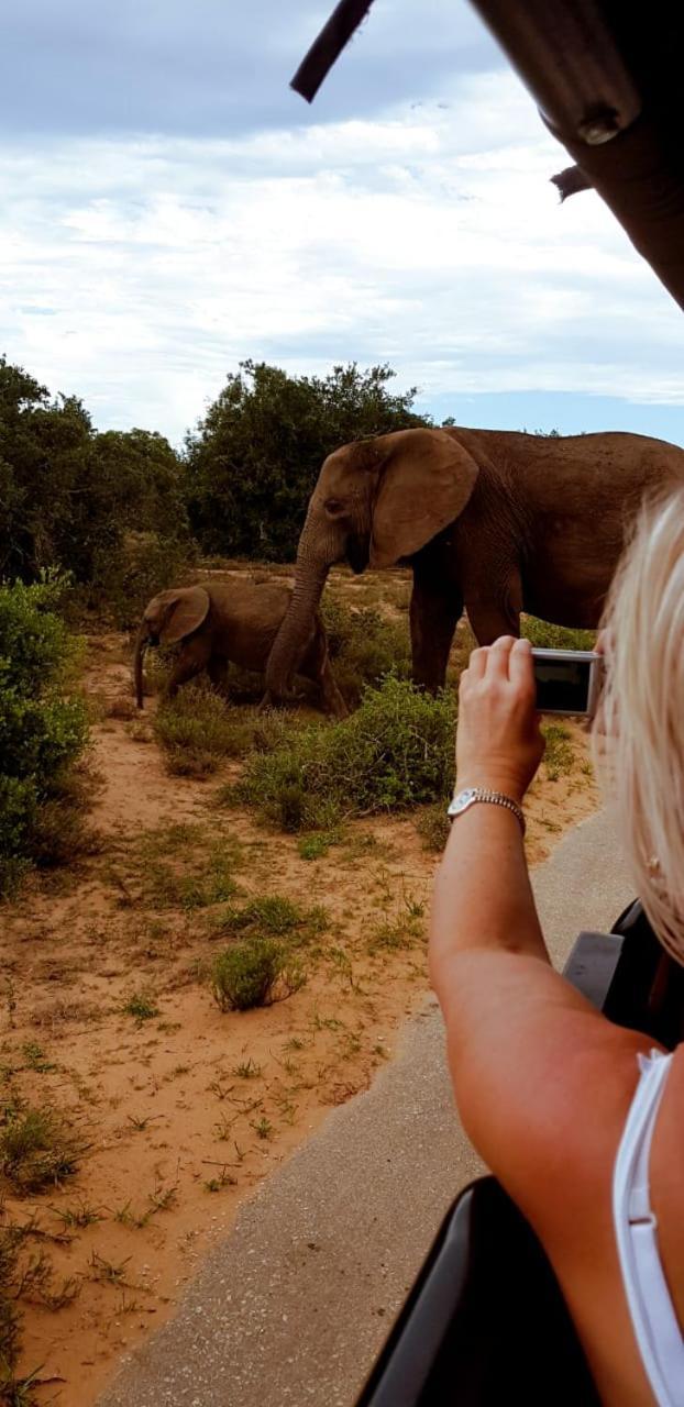 Umlambo River Lodge Kirkwood Ngoại thất bức ảnh