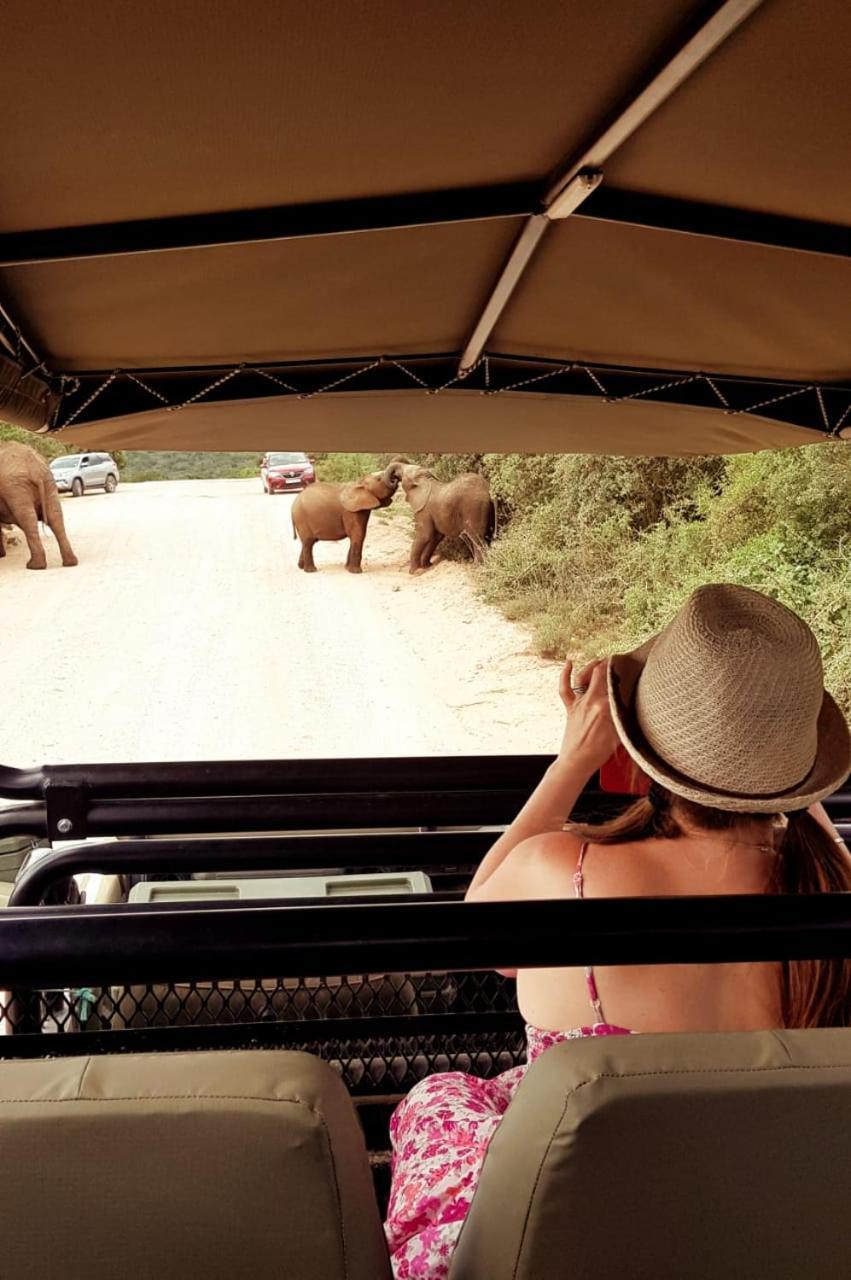 Umlambo River Lodge Kirkwood Ngoại thất bức ảnh