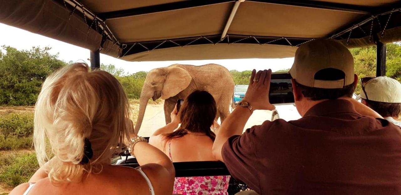 Umlambo River Lodge Kirkwood Ngoại thất bức ảnh