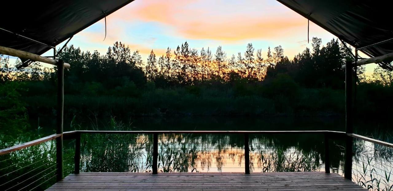 Umlambo River Lodge Kirkwood Ngoại thất bức ảnh
