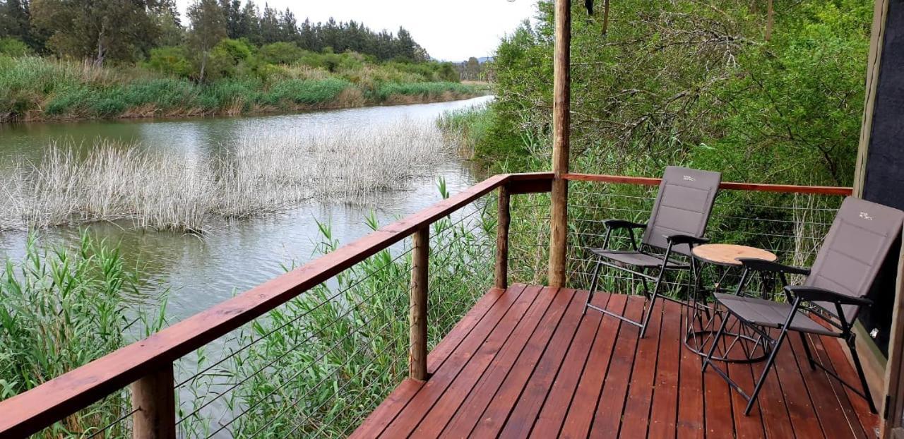 Umlambo River Lodge Kirkwood Ngoại thất bức ảnh